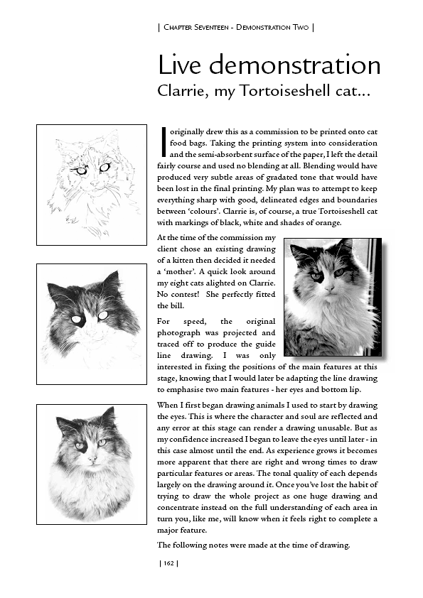 Step-by-step demonstration - Portrait of tortoiseshell cat Clarrie in graphite pencil