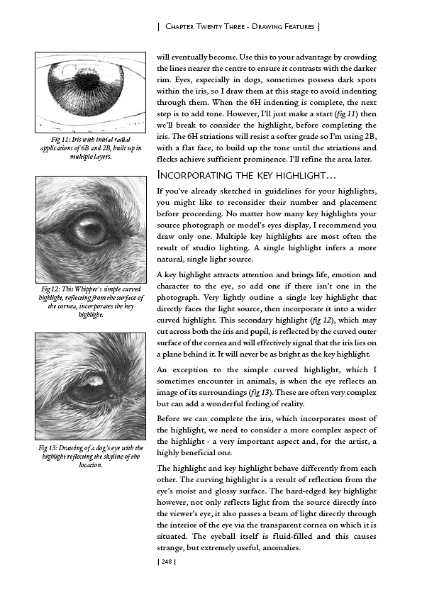 Drawing Features shows you the basics of drawing eyes, noses and other facial features - from horses to humans.